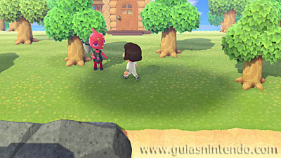 Animal Crossing: New Horizons