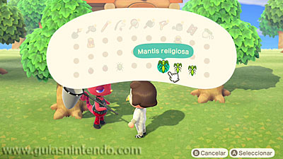 Animal Crossing: New Horizons