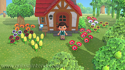 Animal Crossing: New Horizons