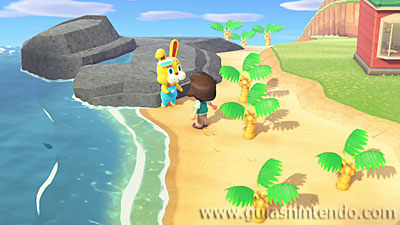 Animal Crossing: New Horizons