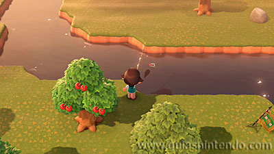 Animal Crossing: New Horizons