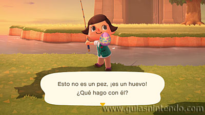 Animal Crossing: New Horizons