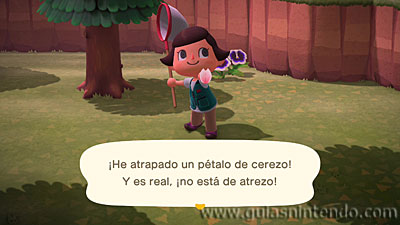 Animal Crossing: New Horizons