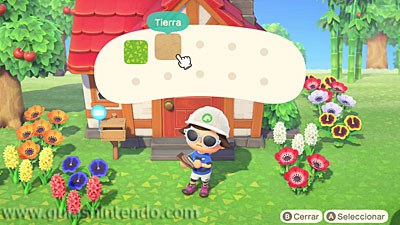 Animal Crossing: New Horizons