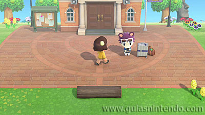 Animal Crossing: New Horizons