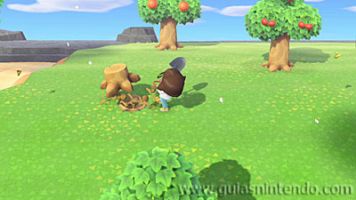 Animal Crossing: New Horizons