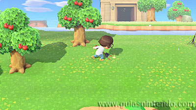 Animal Crossing: New Horizons