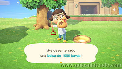 Animal Crossing: New Horizons