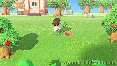 Animal Crossing: New Horizons