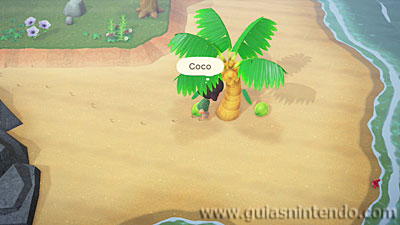 Animal Crossing: New Horizons