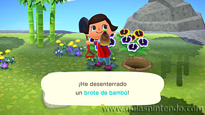 Animal Crossing: New Horizons