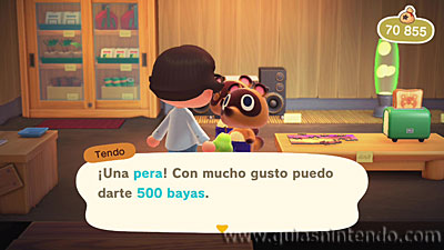 Animal Crossing: New Horizons