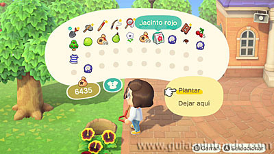 Animal Crossing: New Horizons