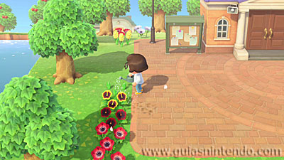 Animal Crossing: New Horizons