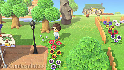 Animal Crossing: New Horizons