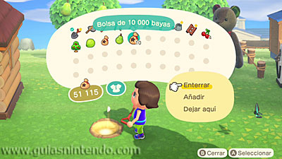 Animal Crossing: New Horizons