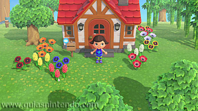 Animal Crossing: New Horizons