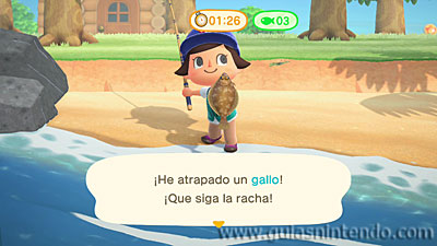 Animal Crossing: New Horizons