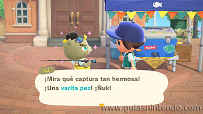 Animal Crossing: New Horizons