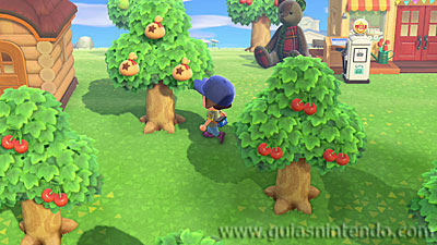 Animal Crossing: New Horizons