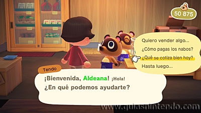 Animal Crossing: New Horizons