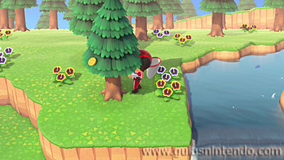 Animal Crossing: New Horizons