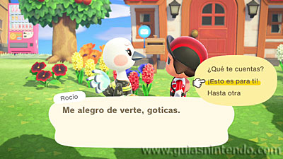 Animal Crossing: New Horizons