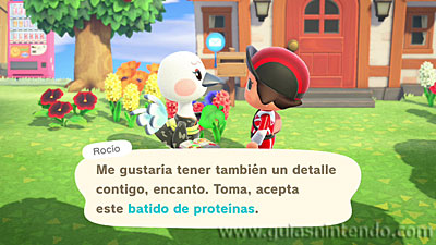Animal Crossing: New Horizons