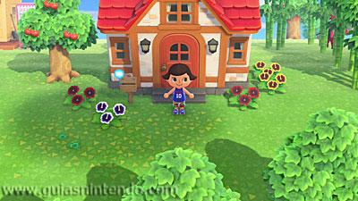 Animal Crossing: New Horizons