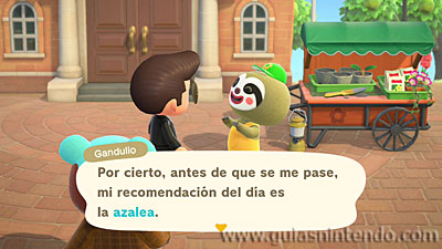 Animal Crossing: New Horizons