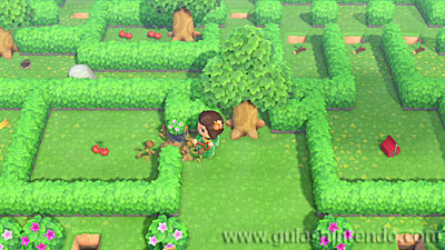 Animal Crossing: New Horizons