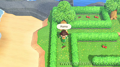 Animal Crossing: New Horizons