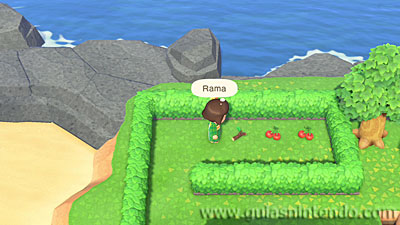 Animal Crossing: New Horizons