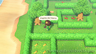 Animal Crossing: New Horizons