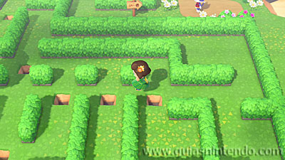 Animal Crossing: New Horizons