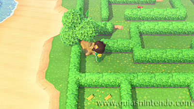 Animal Crossing: New Horizons