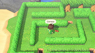Animal Crossing: New Horizons