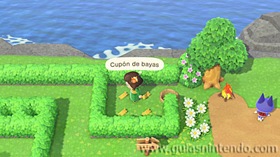 Animal Crossing: New Horizons