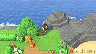 Animal Crossing: New Horizons