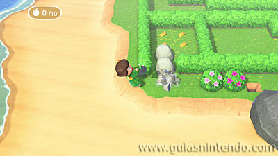Animal Crossing: New Horizons
