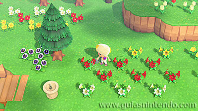 Animal Crossing: New Horizons