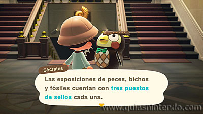 Animal Crossing: New Horizons