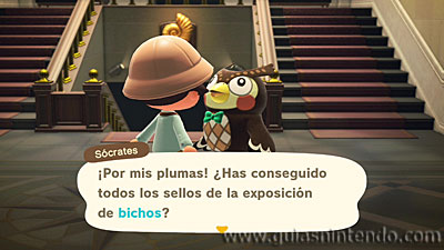 Animal Crossing: New Horizons