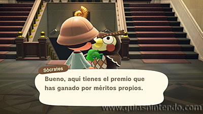 Animal Crossing: New Horizons