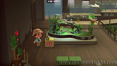 Animal Crossing: New Horizons