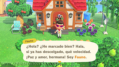 Animal Crossing: New Horizons