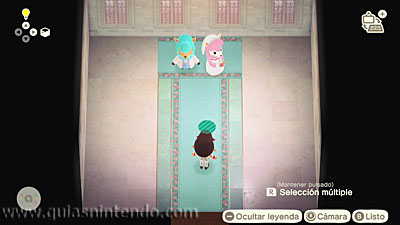 Animal Crossing: New Horizons