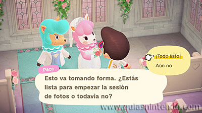 Animal Crossing: New Horizons