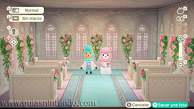 Animal Crossing: New Horizons