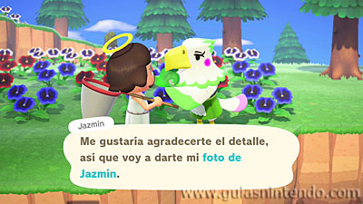 Animal Crossing: New Horizons